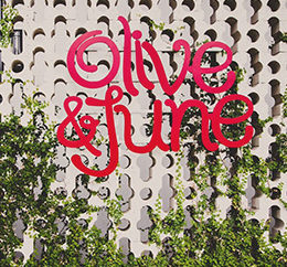 Visit Olive & June