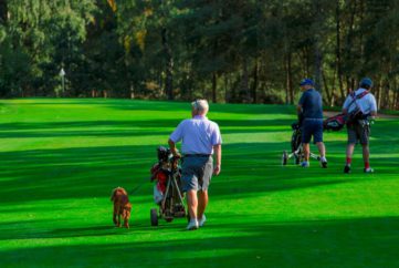 Visit Woburn Golf Club