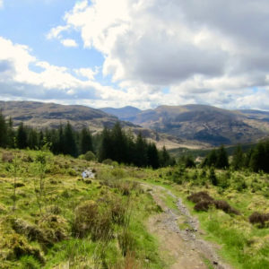 Visit Galloway Forest Park