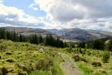 Visit Galloway Forest Park