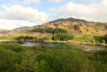 Galloway Forest Park